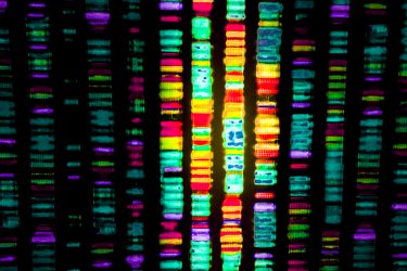 colourful genetic sequences