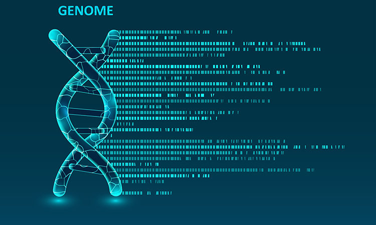 Big genomic data visualization. DNA test, genome map.