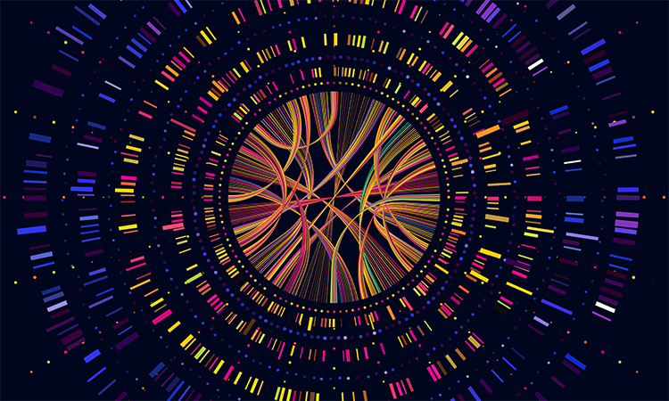 Genome data. Genetics sequence barcode visualisation, dna test and genetic medical sequencing map. Genomics genealogy sequencing data, chromosome architecture vector concept illustration