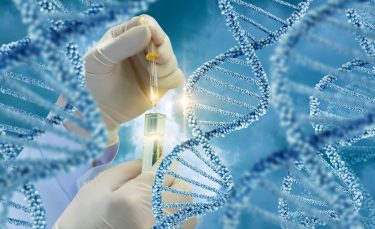 DNA strands in light blue