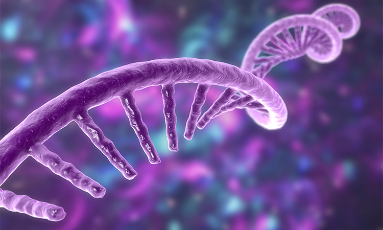 Molecular model of messenger ribonucleic acid (mRNA). 3D illustration