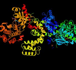 G protein-coupled receptor (gpcr) kinase 6, an enzyme which appears to be involved in responses to morphine. 3d rendering.