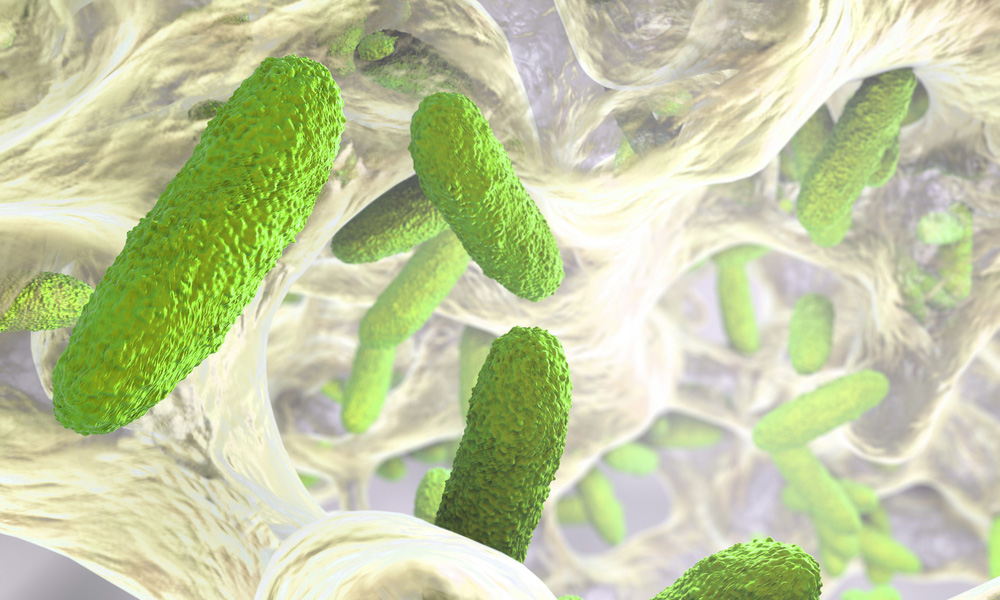 Gram-negative bacteria