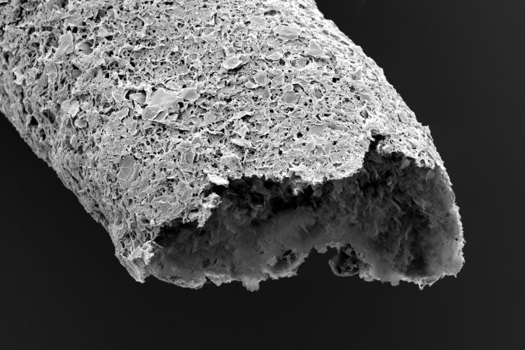 Close-up of a tubular structure made by simultaneous printing and self-assembling between graphene oxide and a protein.