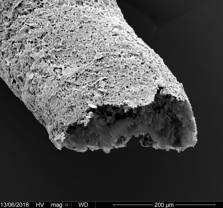 Close-up of a tubular structure made by simultaneous printing and self-assembling between graphene oxide and a protein.