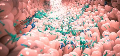 gut microbiota