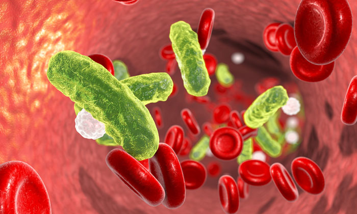 gut-microbes-protect-sepsis