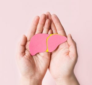 World hepatitis day. Adult hands holding donation liver on pink background. Awareness of prevention and treatment viral hepatitis.
