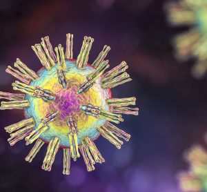 herpesvirus