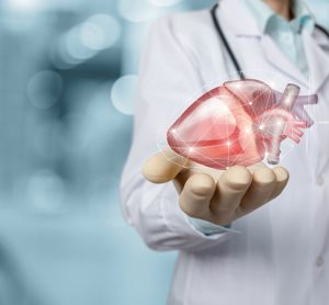 Heart disease diagnosis and treatment concept. Doctor shows heart on blurred background.