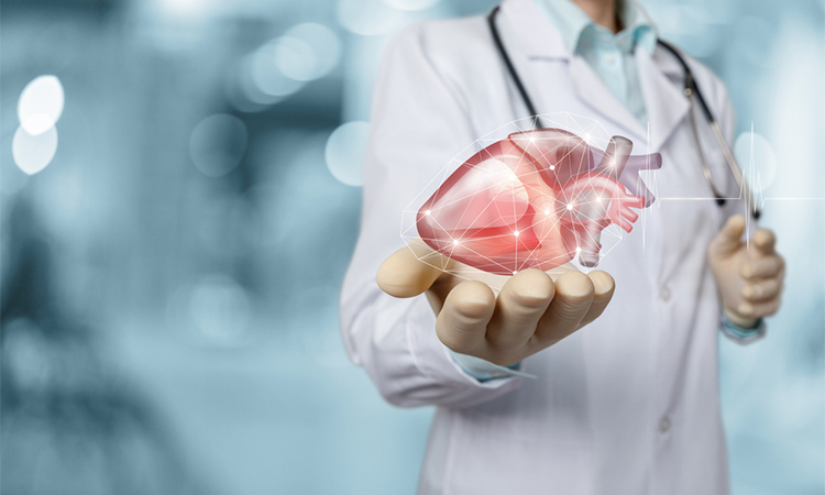 Heart disease diagnosis and treatment concept. Doctor shows heart on blurred background.