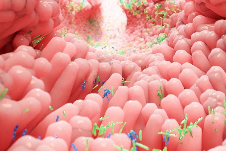 3D rendering of pink villi with blue and green microbes - idea of microbiome of the human intestines