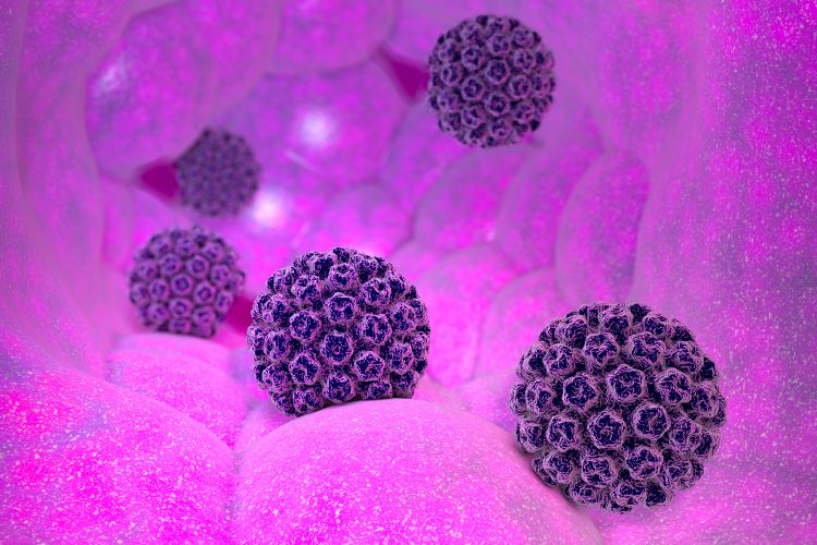 purple papillomavirus particles on a pink 'tissue'-like background