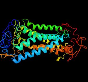 human secreted proteins image