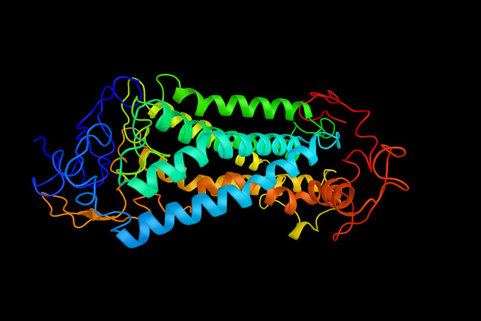 human secreted proteins image