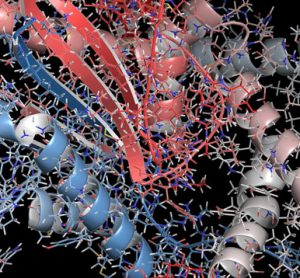 Imaging Biomarkers transforming drug discovery