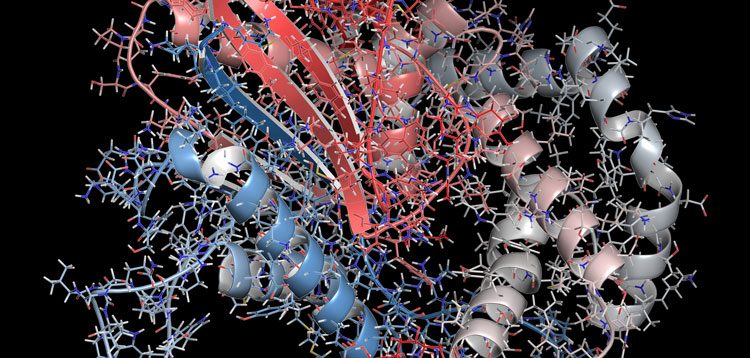 Imaging Biomarkers transforming drug discovery