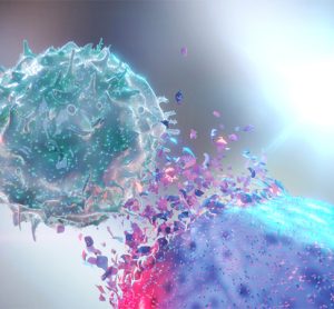 3D rendering of a NK Cell (Natural Killer Cell) destroying a cancer cell