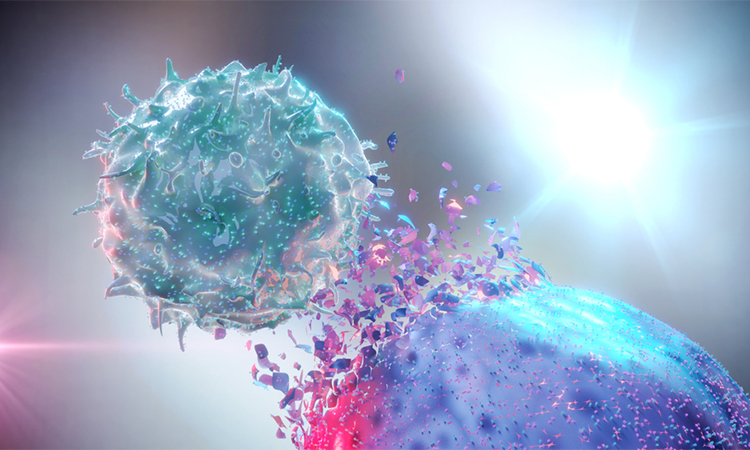 3D rendering of a NK Cell (Natural Killer Cell) destroying a cancer cell