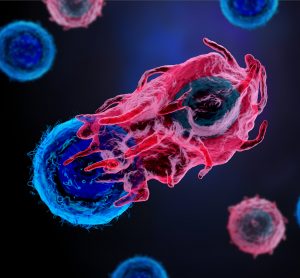 red immune cell attacking a blue cancer cell on a dark blue background