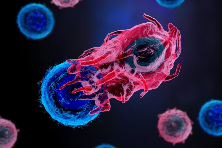 red immune cell attacking a blue cancer cell on a dark blue background