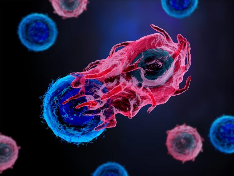 red immune cell attacking a blue cancer cell on a dark blue background