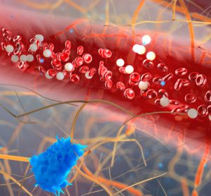 immune-cell-heart-disease