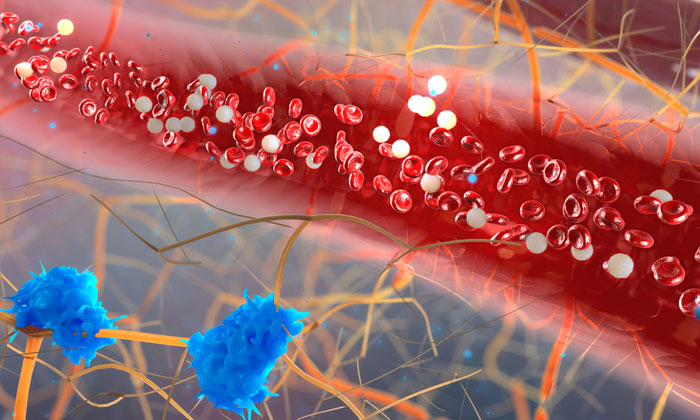 immune-cell-heart-disease