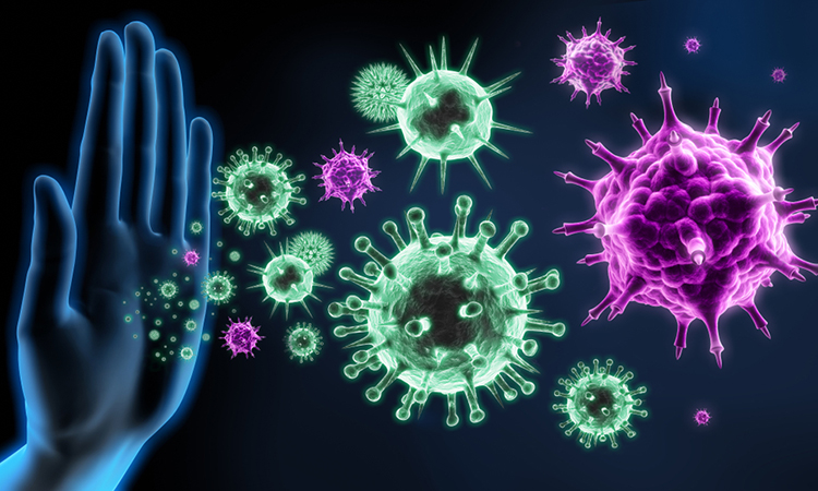 Visual concept of immune system, immune cells and defence - 3D illustration