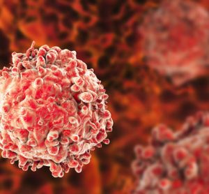 macrophage