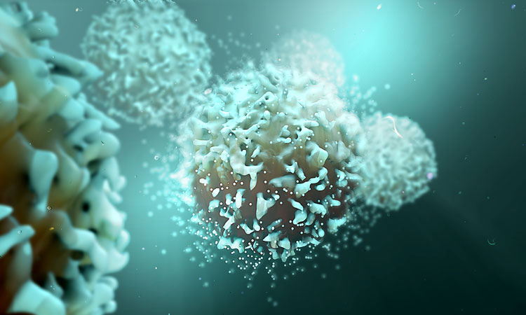 immuno-oncology image