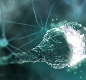 immunological memory