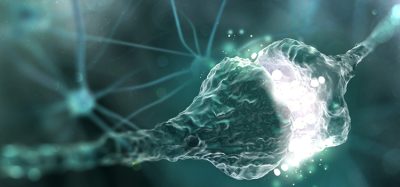 immunological memory