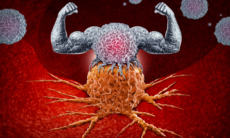 Immunology and immunotherapy as a human immune system therapy concept as a biomedical or biomedicine oncology treatment with strong natural cancer fighting with 3D illustration elements.