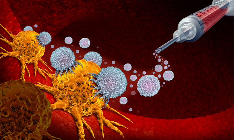 Vaccine for cancer as oncology treatment concept using immunotherapy with with cells from the human body as a 3D illustration.