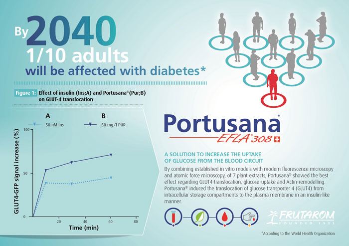 Impact of diabetes by 2040 according to the World Health Organisation
