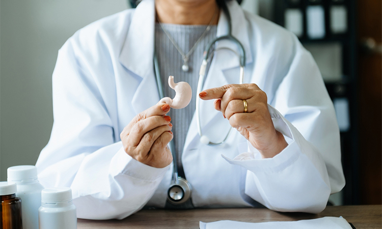 Female doctor holding Intestine in hand on right side.Healthcare hospital service concept stock photo. in background