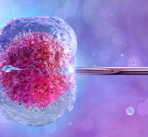 Human artificial insemination, in vitro fertilization, reproduction. Female egg cell, needle puncture the cell membrane, cell injection, sperm, ovum, zygote. IVF fertility treatment medicine, 3D image