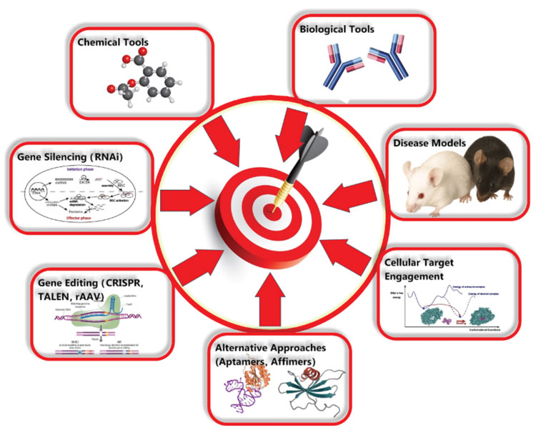 Figure 1: Techniques that can be used for target validation