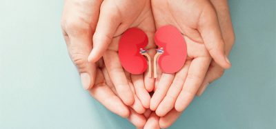 Adult and child holding kidney shaped paper, world kidney day, National Organ Donor Day, charity donation concept