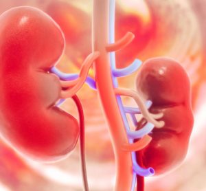 chronic kidney