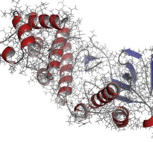 kinase-p38-enzyme