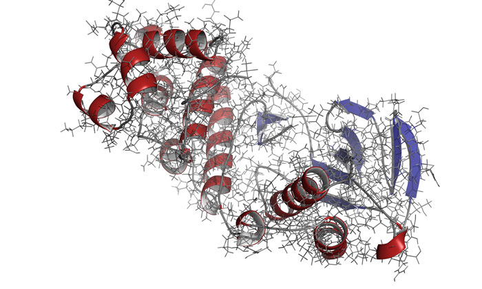 kinase-p38-enzyme