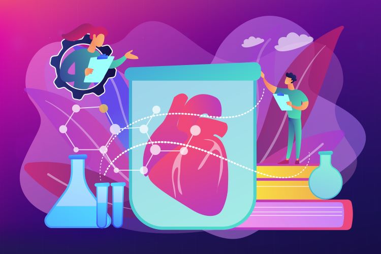 Cartoon of a heart growing in a test tube - idea of lab-grown organs for transplant