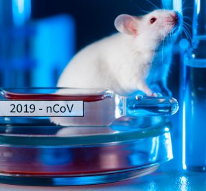 white mouse next to vial of COVID-19 vaccine