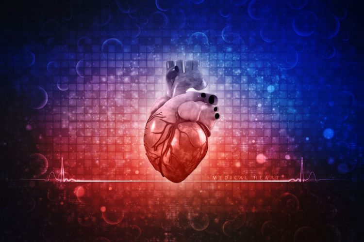 lipotoxic cardiomyopathy