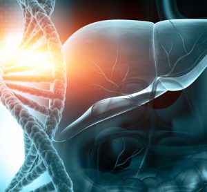 liver cell generation