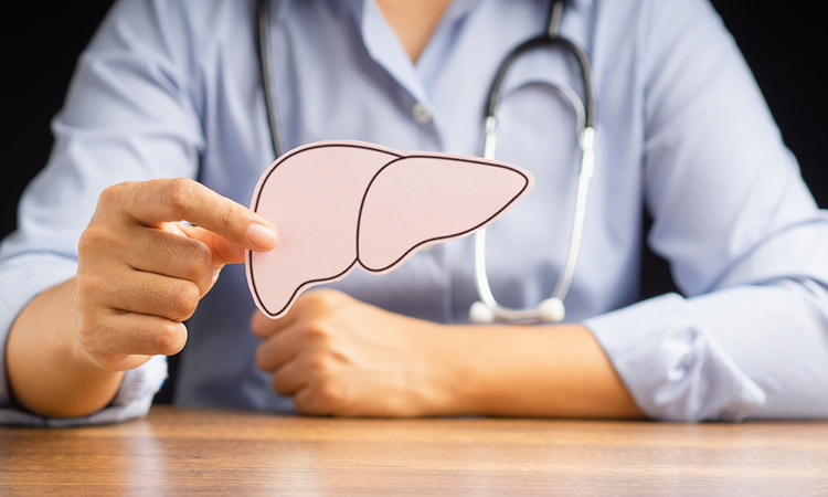 Doctor hand holding a liver shape made from pink paper while sitting in the hospital. Medical and healthcare concept. Close-up photo