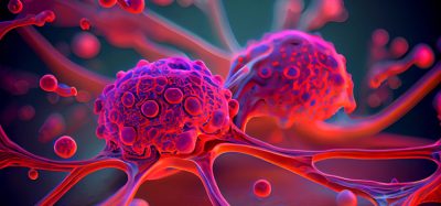 liver cancer cells