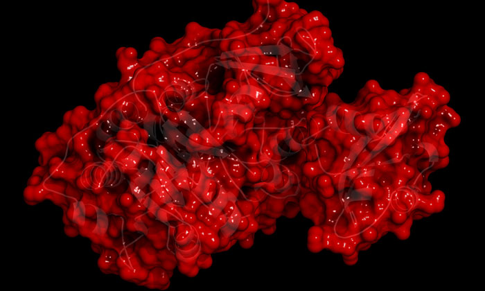 luciferase-synthetic-bioluminescence